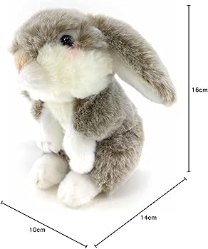 61-+CXpcxpL._AC_UF350,